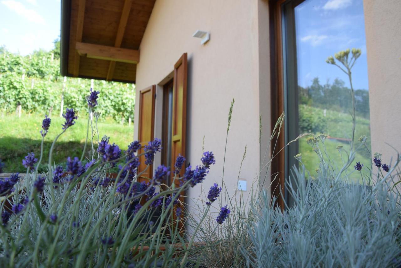 Al-Colle Bed & Breakfast Sotto il Monte Dış mekan fotoğraf